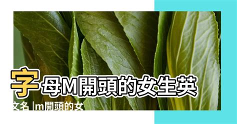 錚名字|錚開頭的名字